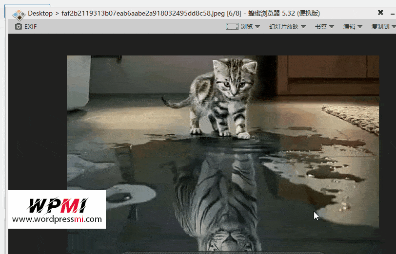 wordpress本地复制图片 编辑器内粘帖自动上传插件 The Paste