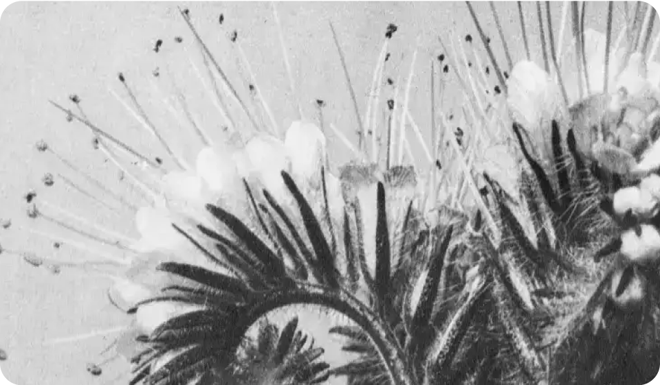 WordPress 6.7 “Rollins” 首次推出了现代化的二〇二五主题