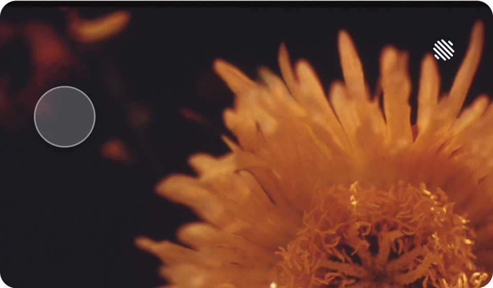 WordPress 6.7 “Rollins” 首次推出了现代化的二〇二五主题