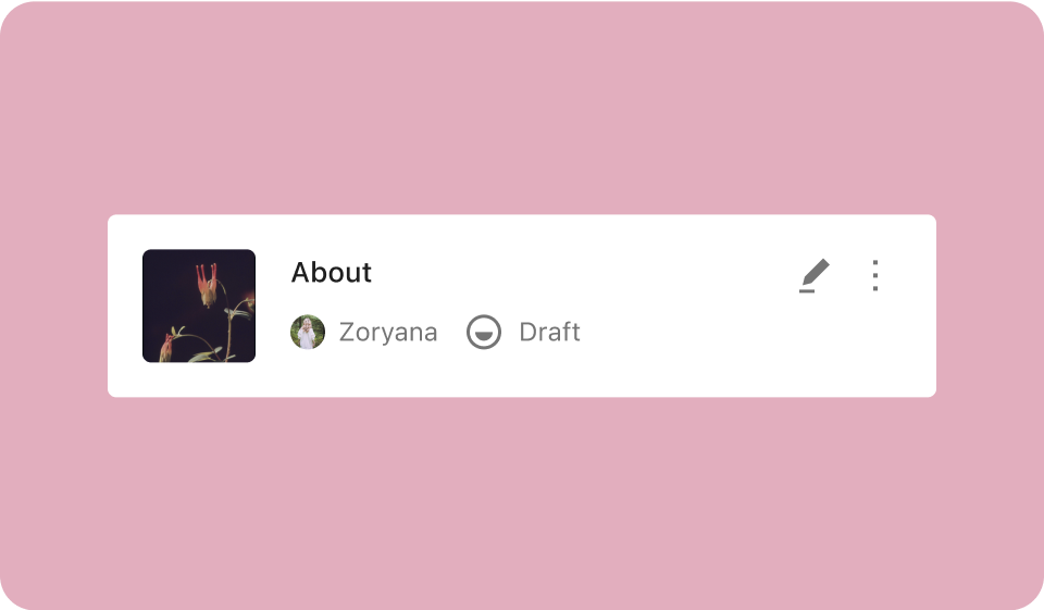 WordPress 6.7 “Rollins” 首次推出了现代化的二〇二五主题